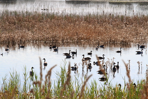 Bool Lagoon Campground photo 3