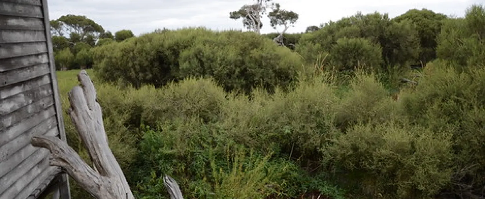 Bool Lagoon Campground