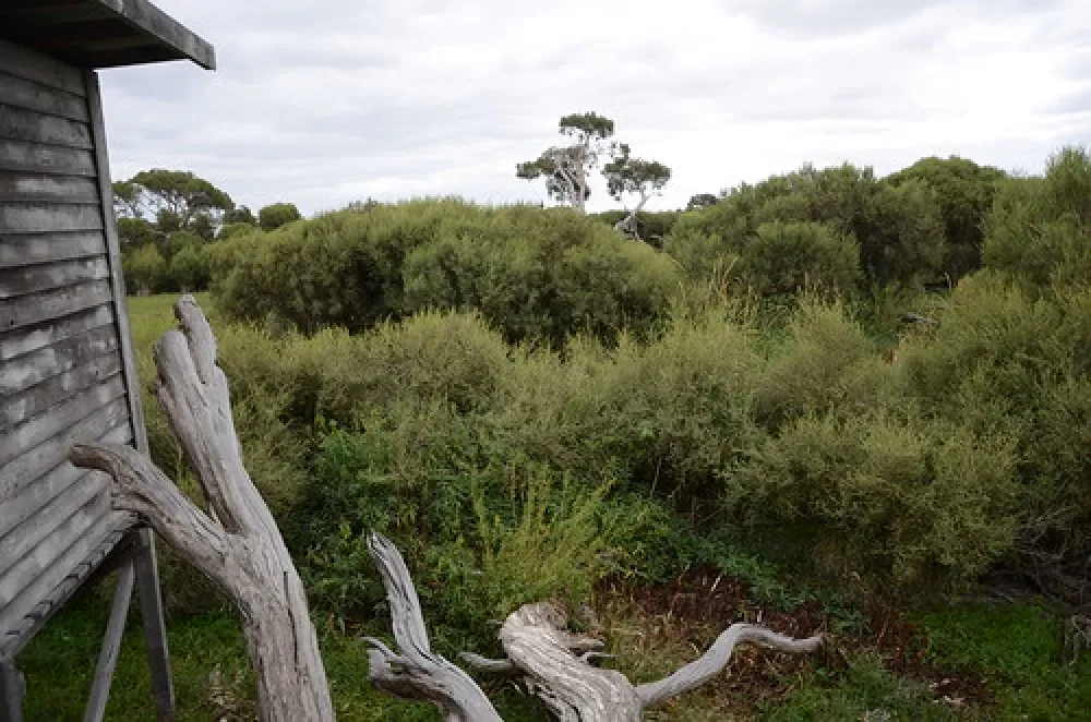 Bool Lagoon Campground