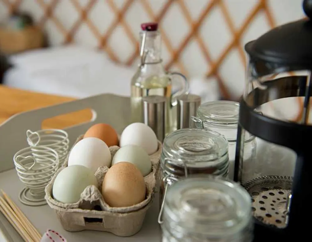 Hadrian&#39;s Wall Camping and Caravan Site