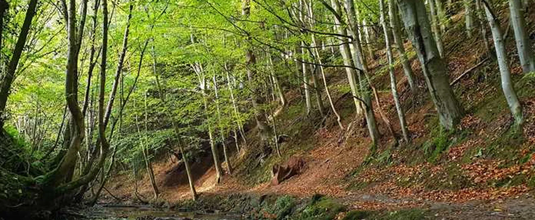 Hadrian&#39;s Wall Camping and Caravan Site