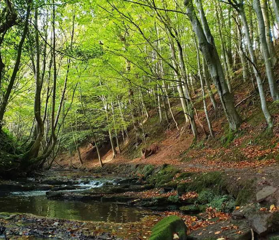 Hadrian&#39;s Wall Camping and Caravan Site