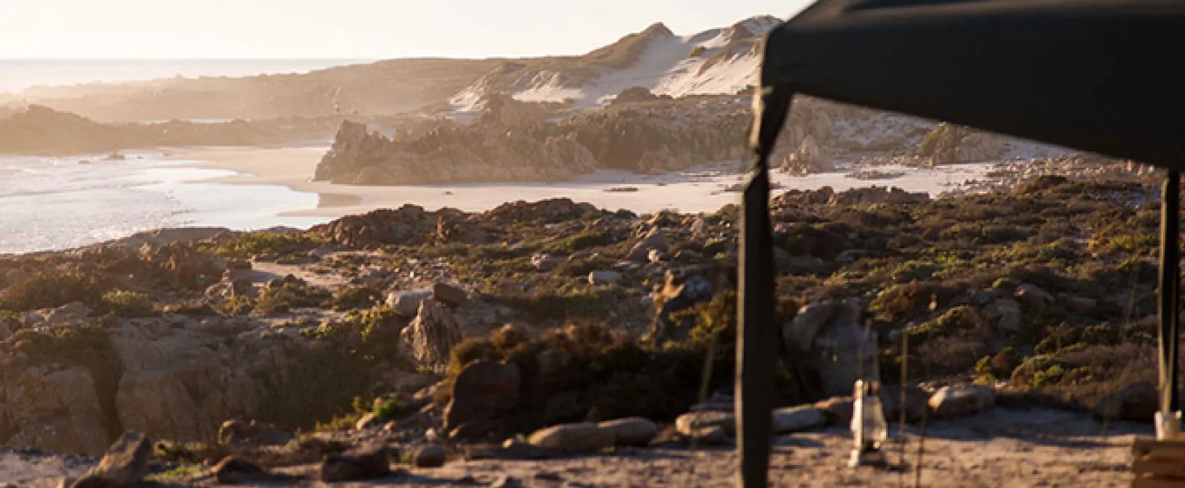 Namaqua Flower Beach Camp