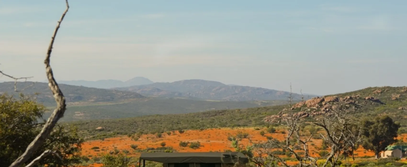 Namaqua Flower Beach Camp