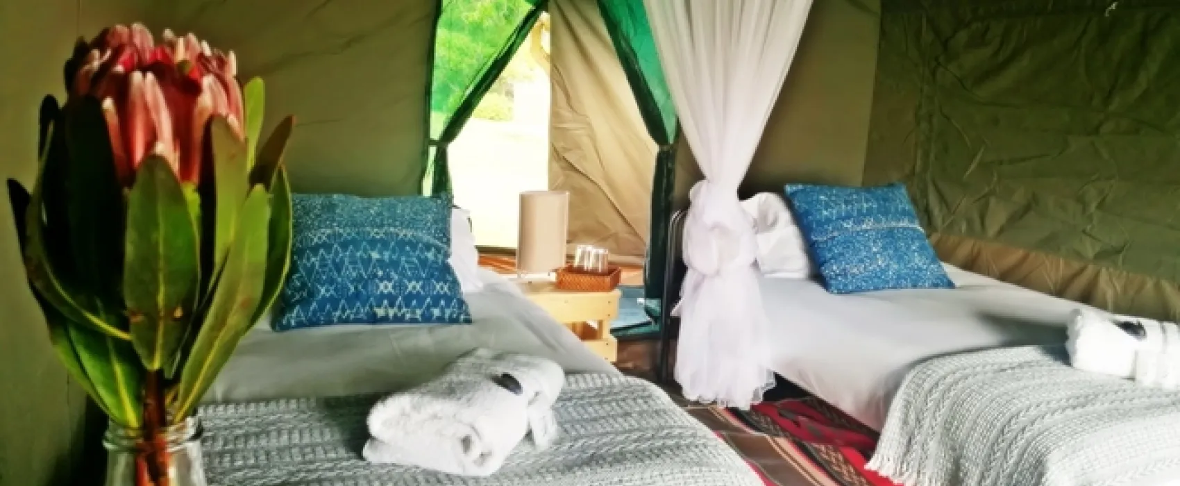 Namaqua Flower Beach Camp