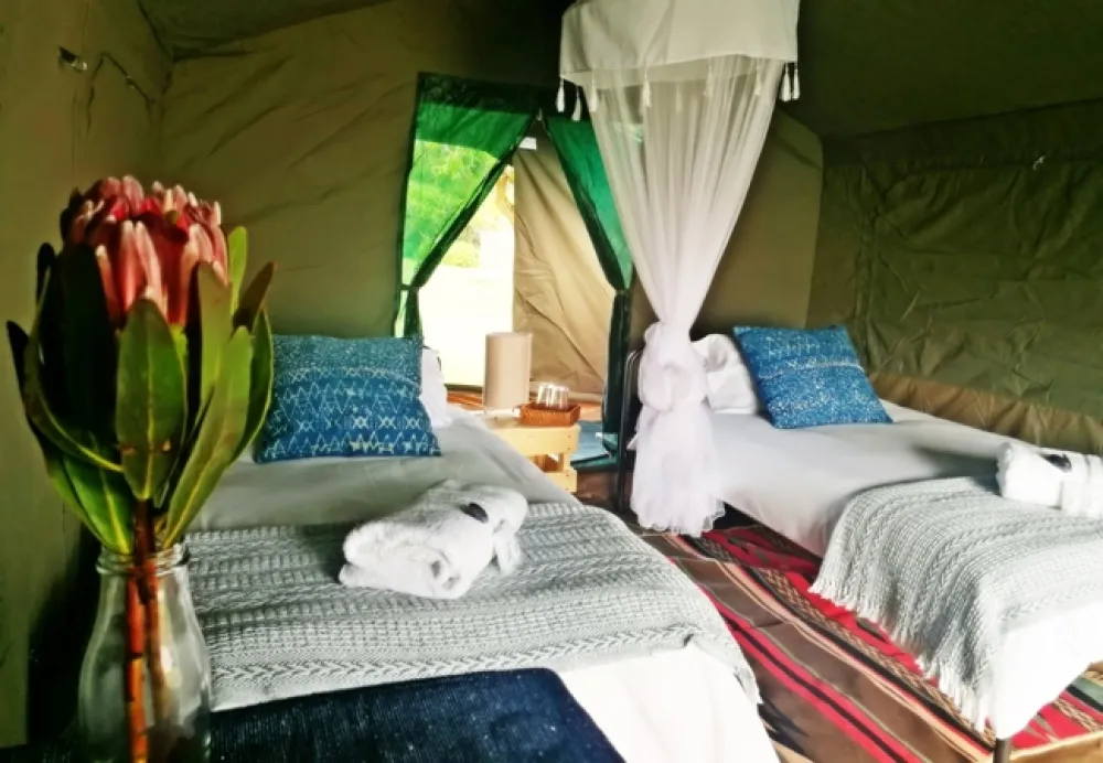 Namaqua Flower Beach Camp