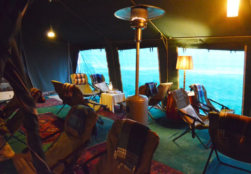 Namaqua Flower Beach Camp