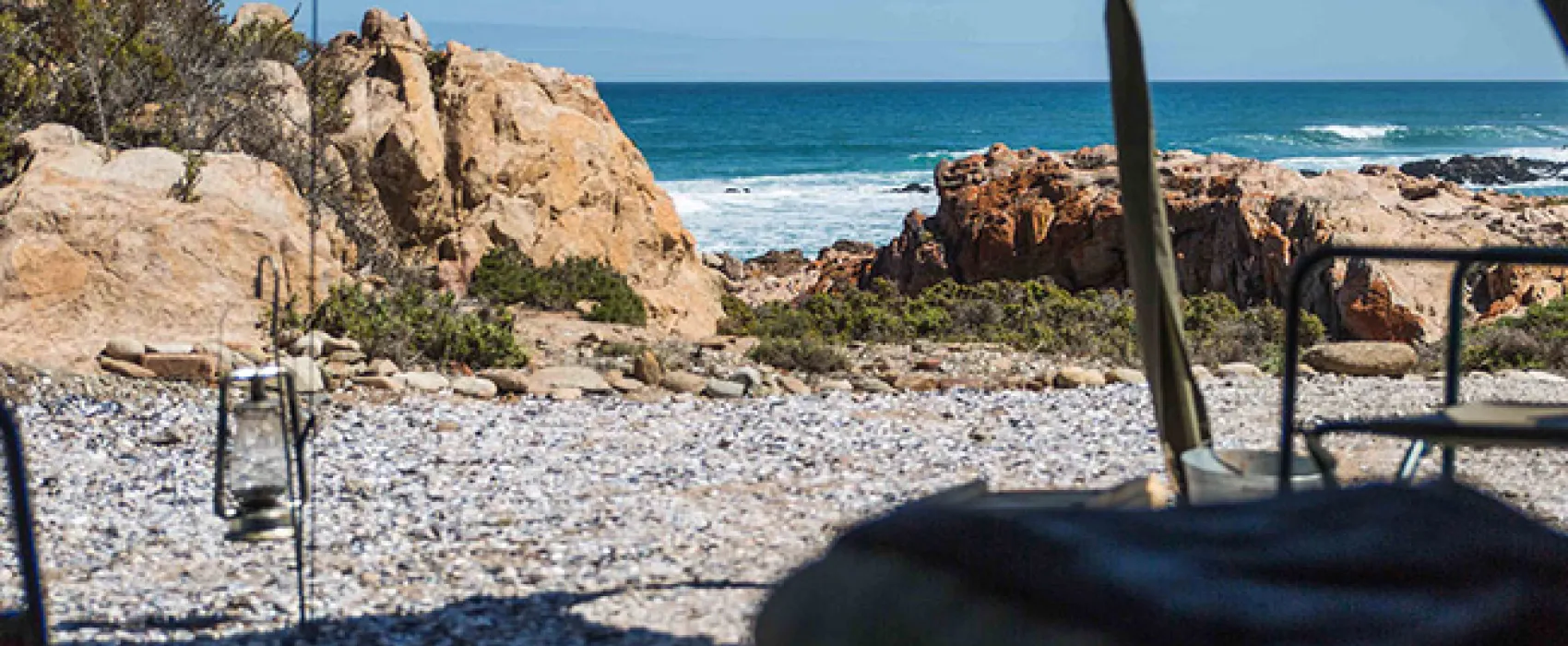 Namaqua Flower Beach Camp