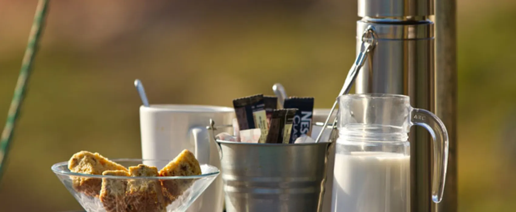 Namaqua Flower Beach Camp