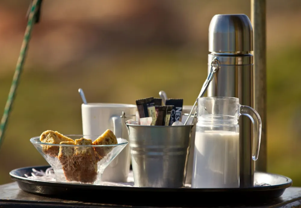 Namaqua Flower Beach Camp