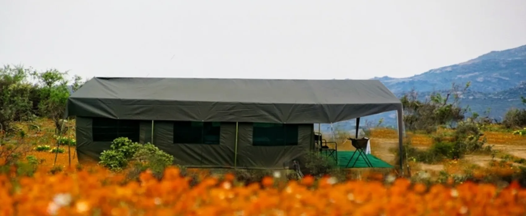 Namaqua Flower Beach Camp