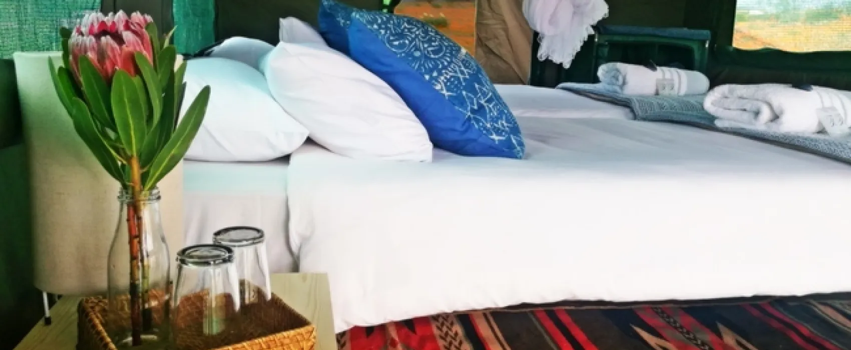 Namaqua Flower Beach Camp