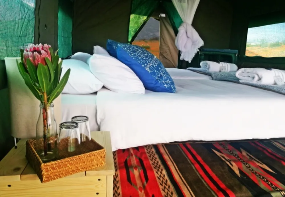 Namaqua Flower Beach Camp