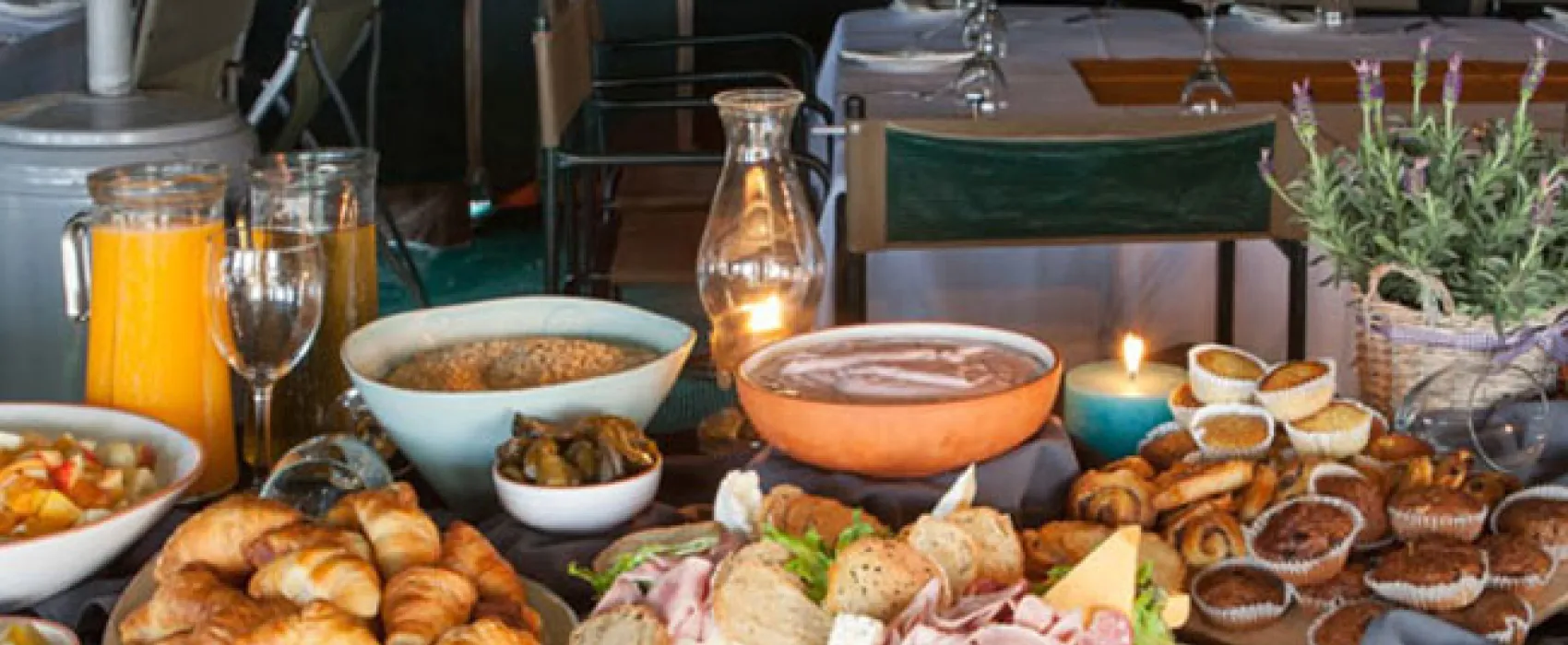 Namaqua Flower Beach Camp