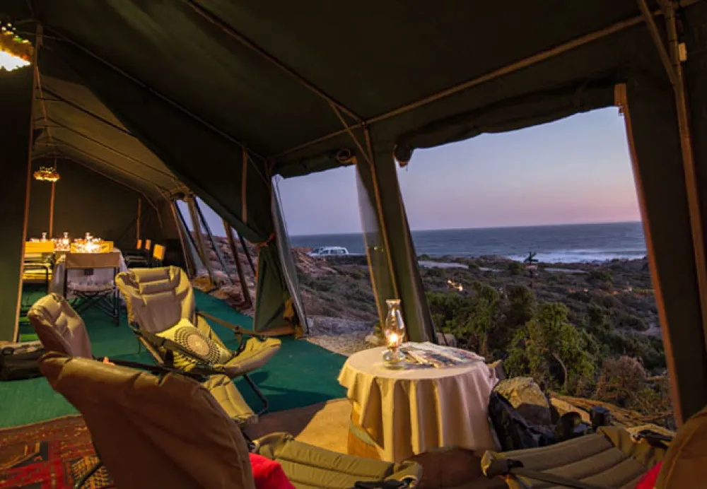 Namaqua Flower Beach Camp