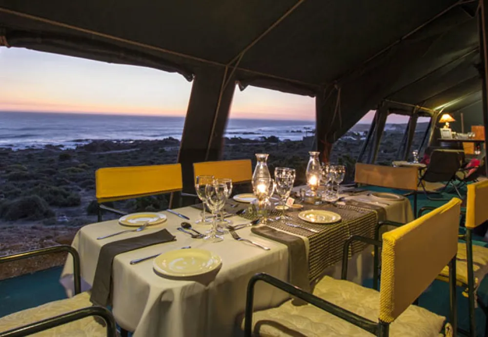 Namaqua Flower Beach Camp