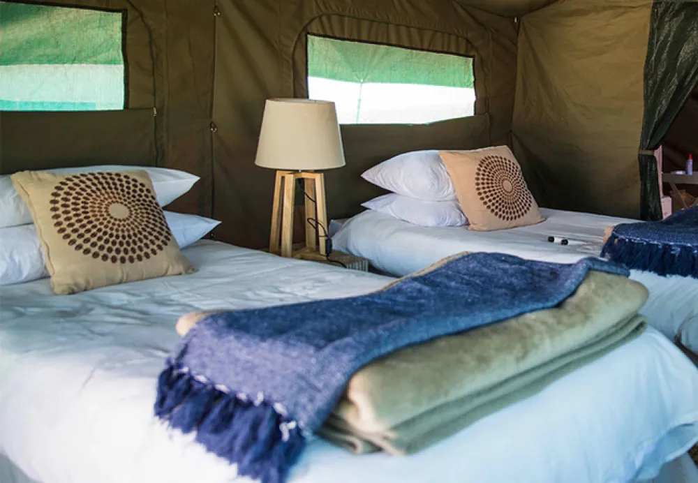 Namaqua Flower Beach Camp