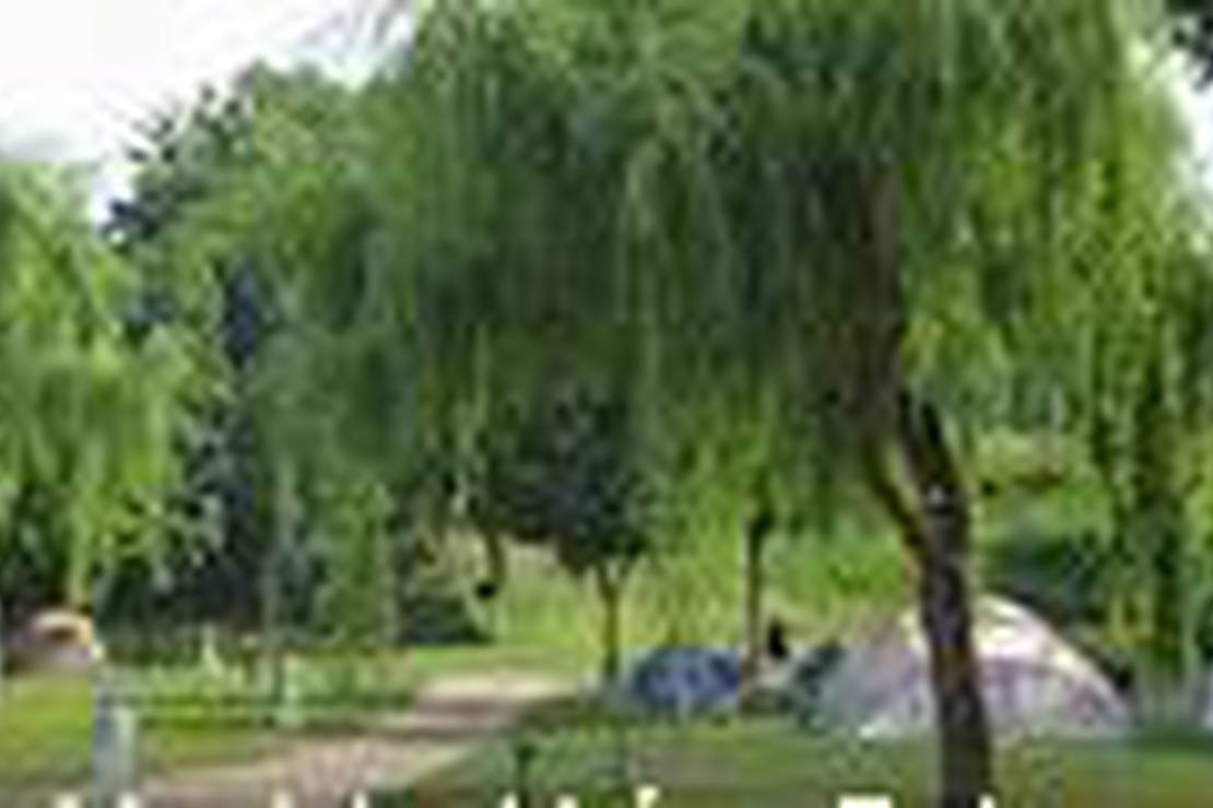 Camping Municipal Léon Delanoue photo 2