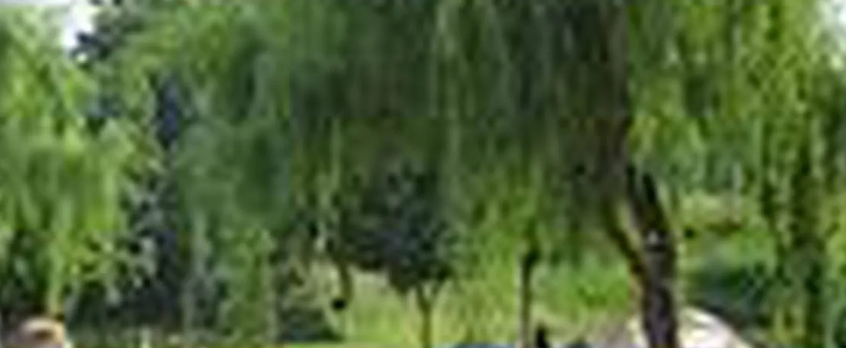 Camping Municipal Léon Delanoue