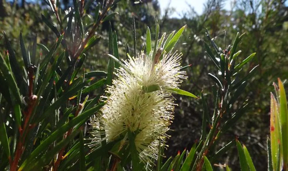 Terarra Creek Campground