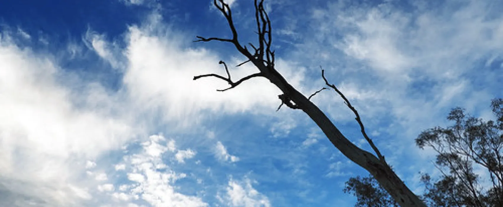 Terarra Creek Campground