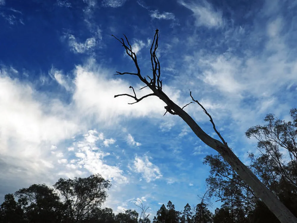 Terarra Creek Campground