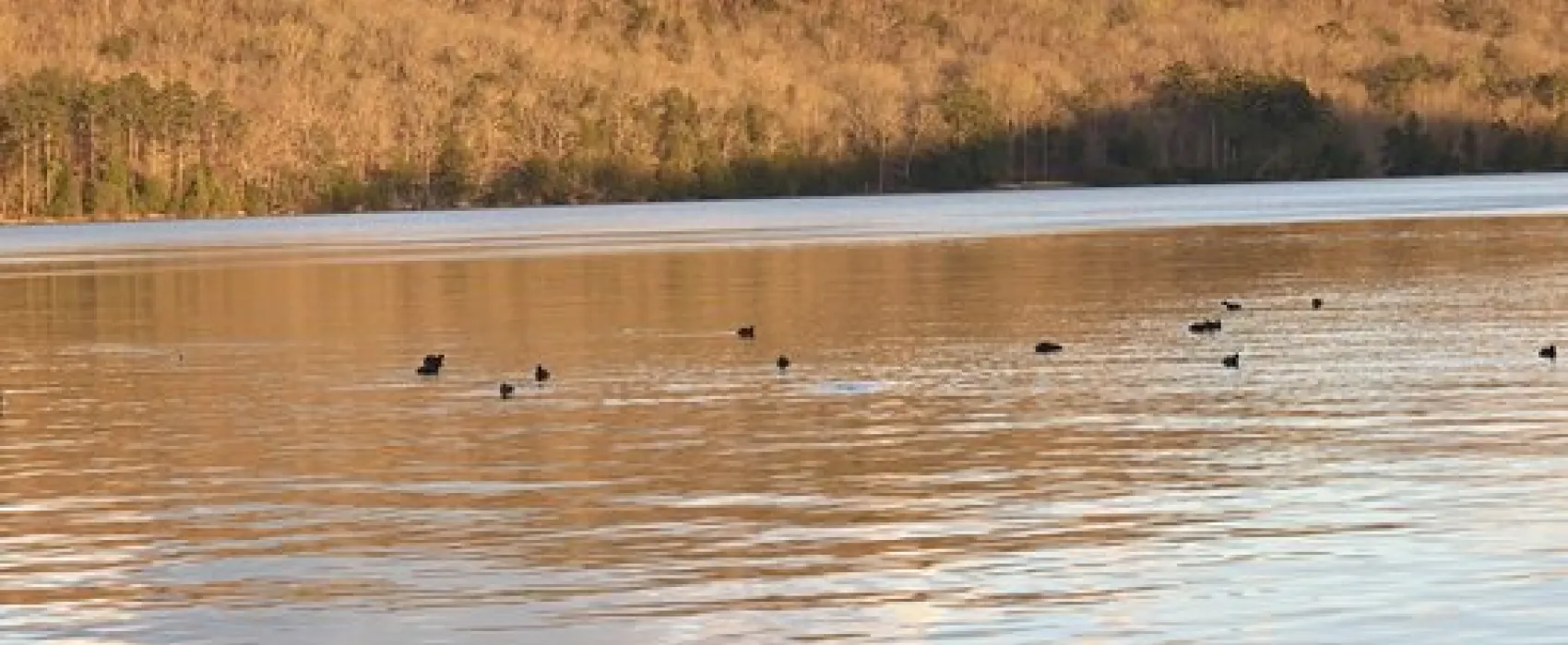 Honeycomb Campground