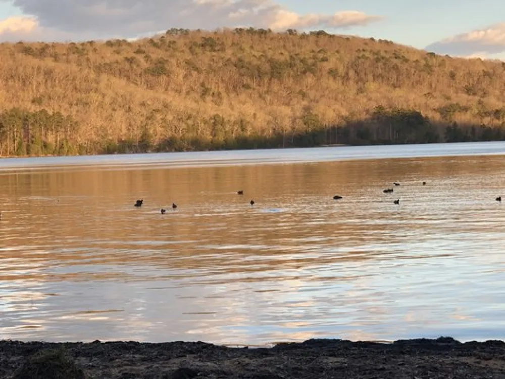 Honeycomb Campground
