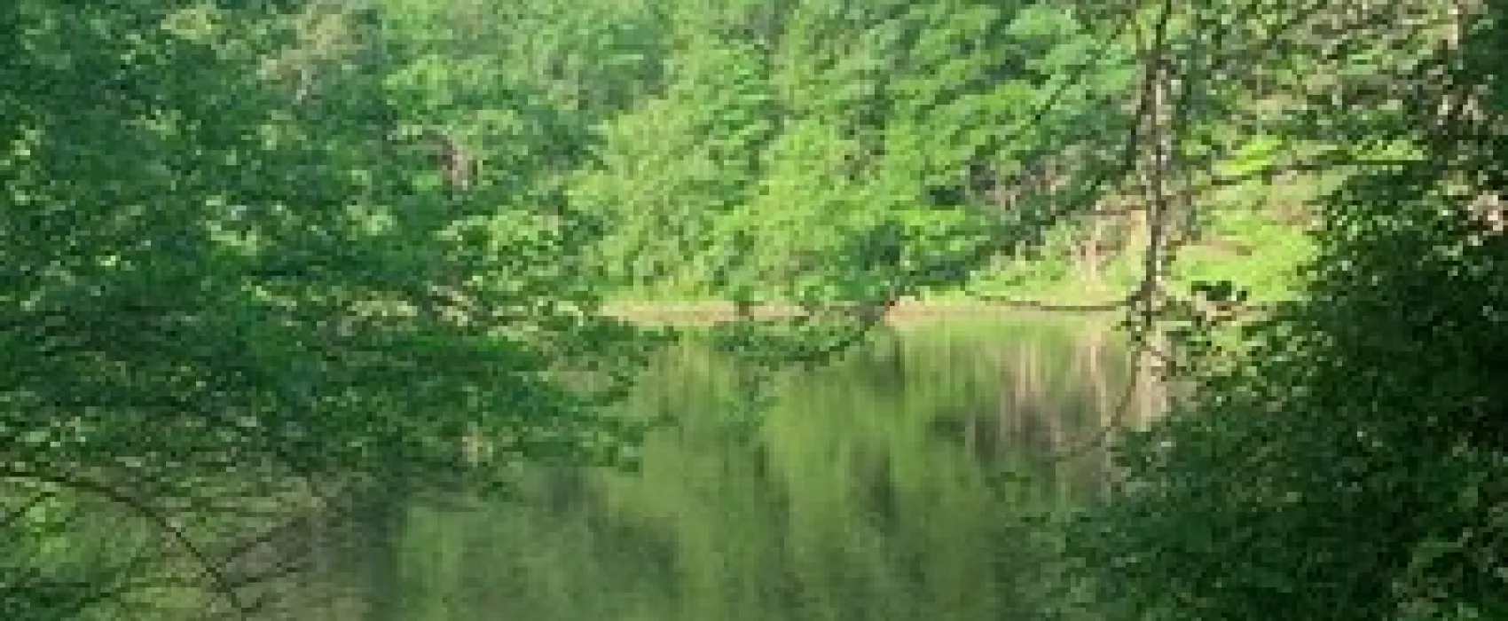 Little Mexico Campground