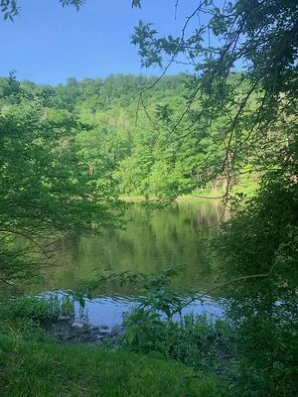 Little Mexico Campground