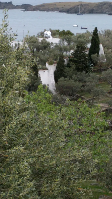 Maçanet de Cabrenys