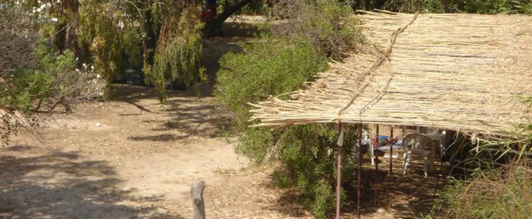 Camping Naoussa Paros