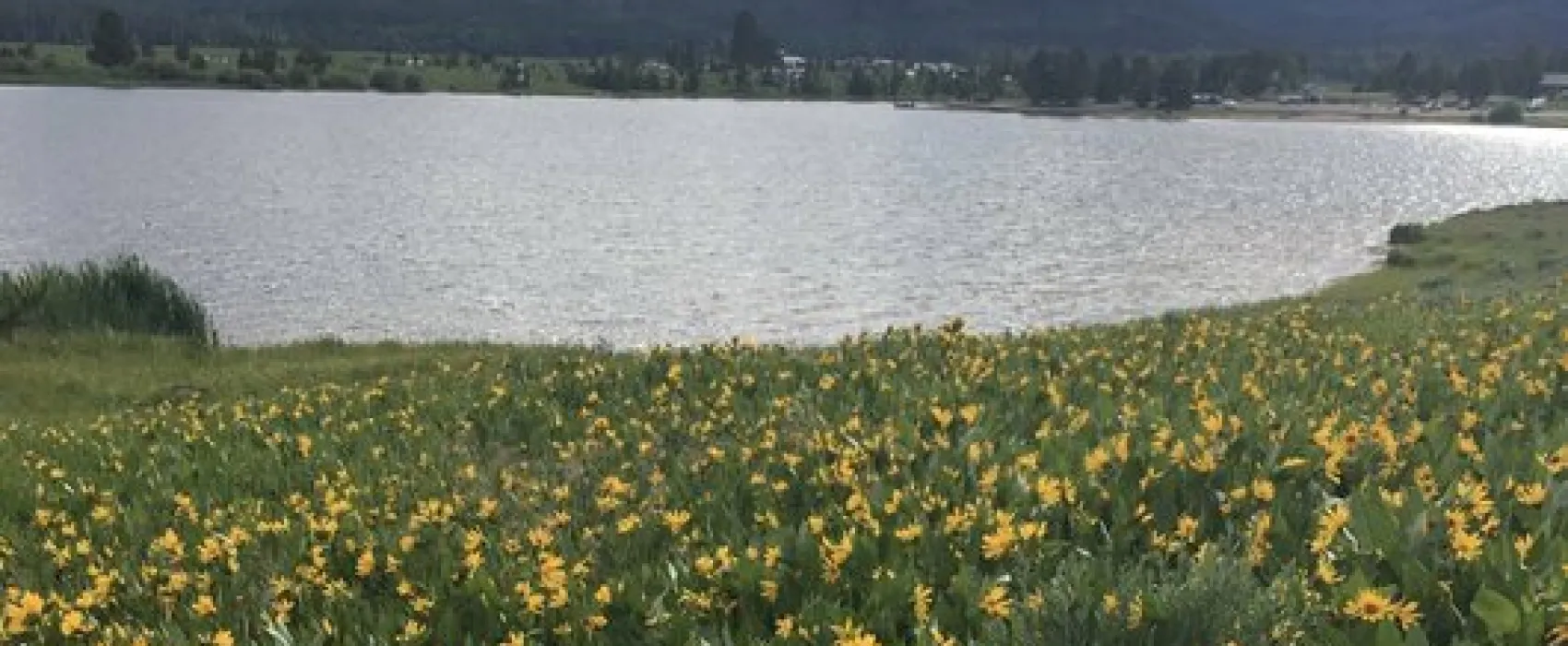 Sunrise Vista Campground