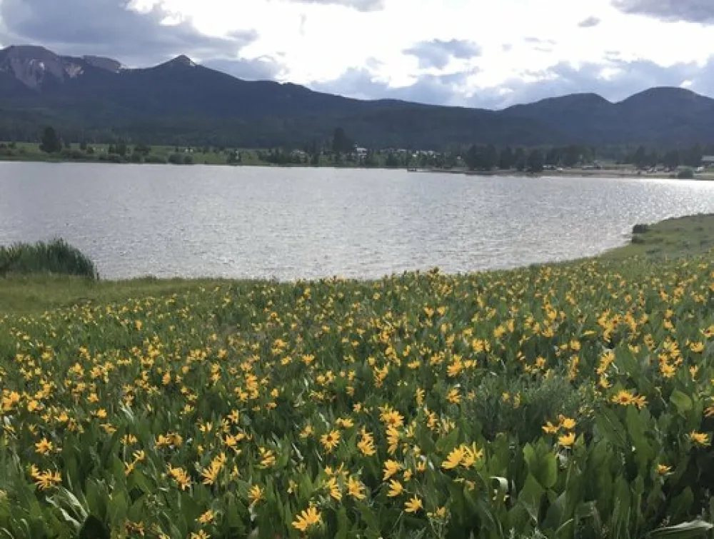 Sunrise Vista Campground