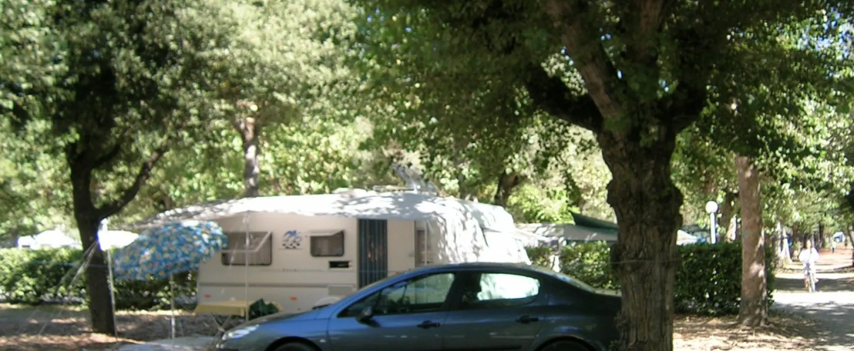 Campeggio Val di Sole