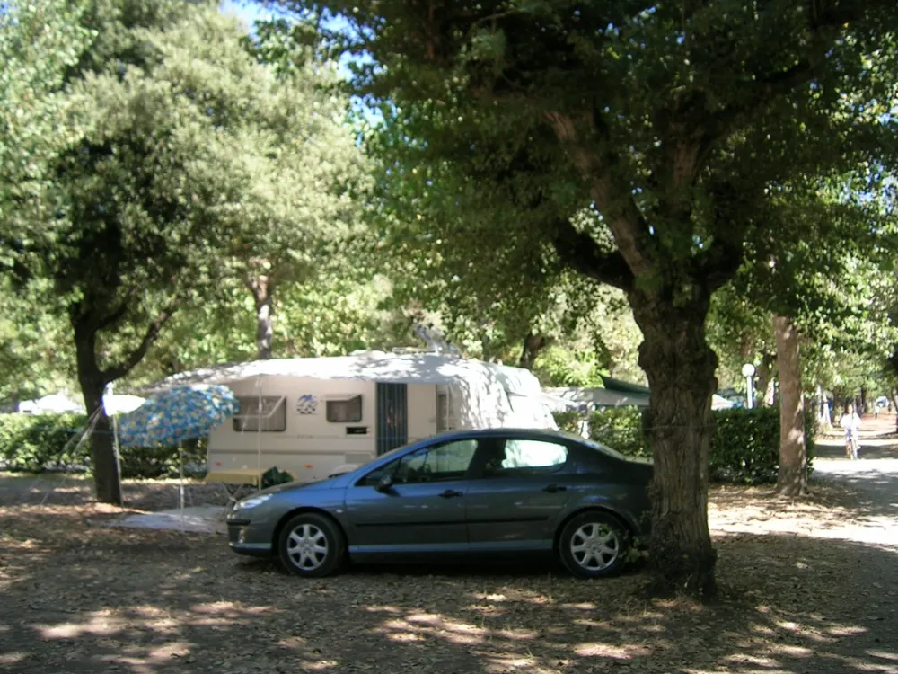 Campeggio Val di Sole