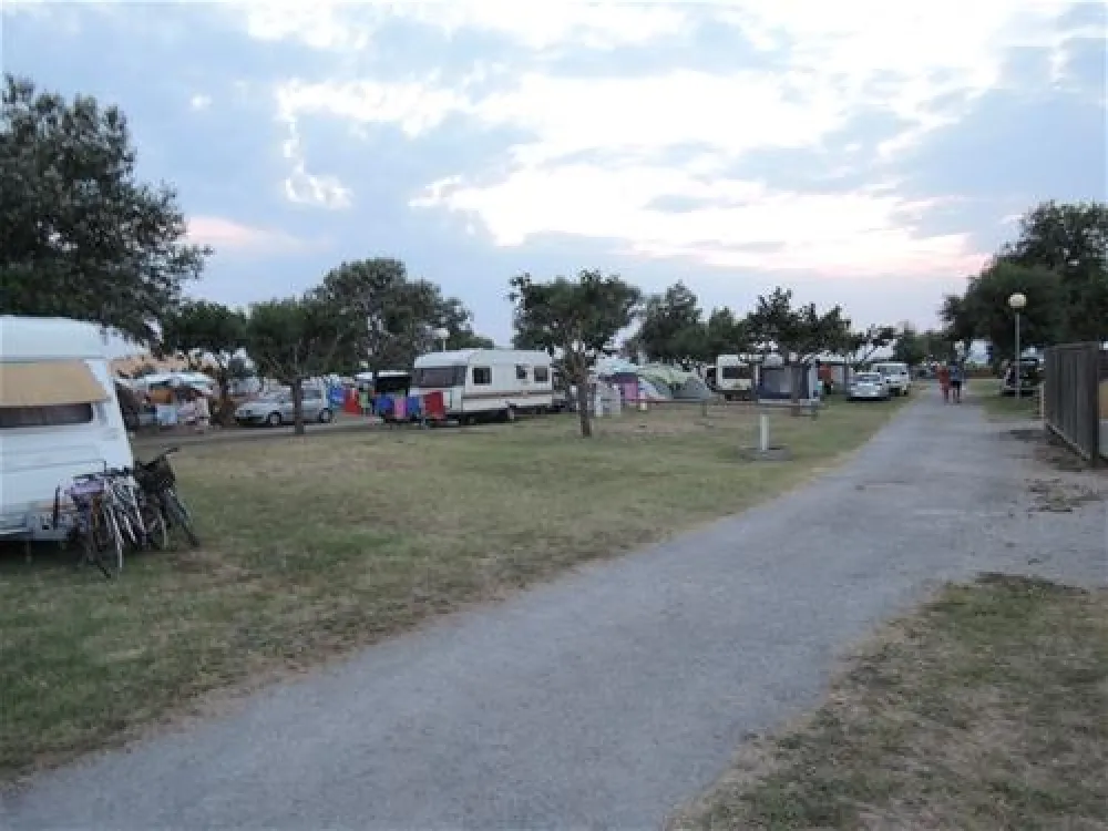 Camping Intercommunal Des Saladelles