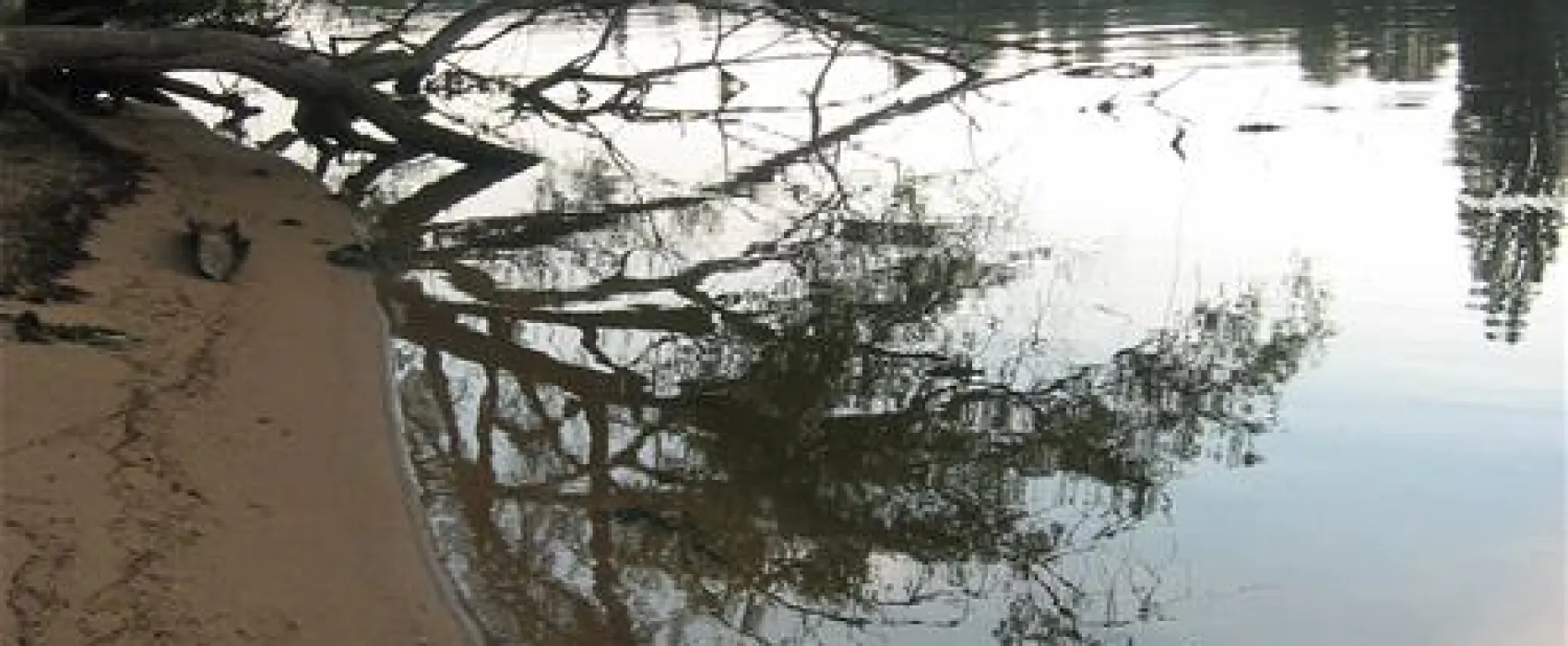 Camping Chateau De Bouafles