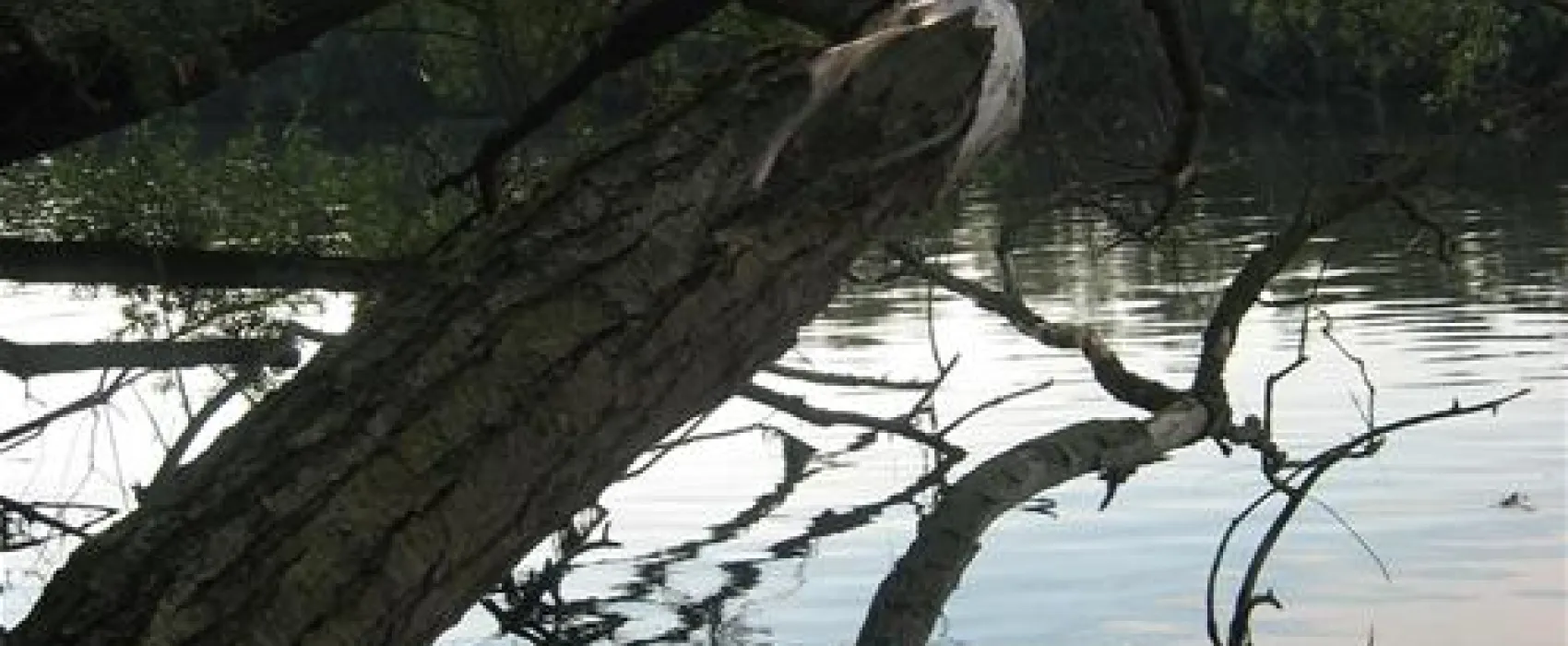 Camping Chateau De Bouafles