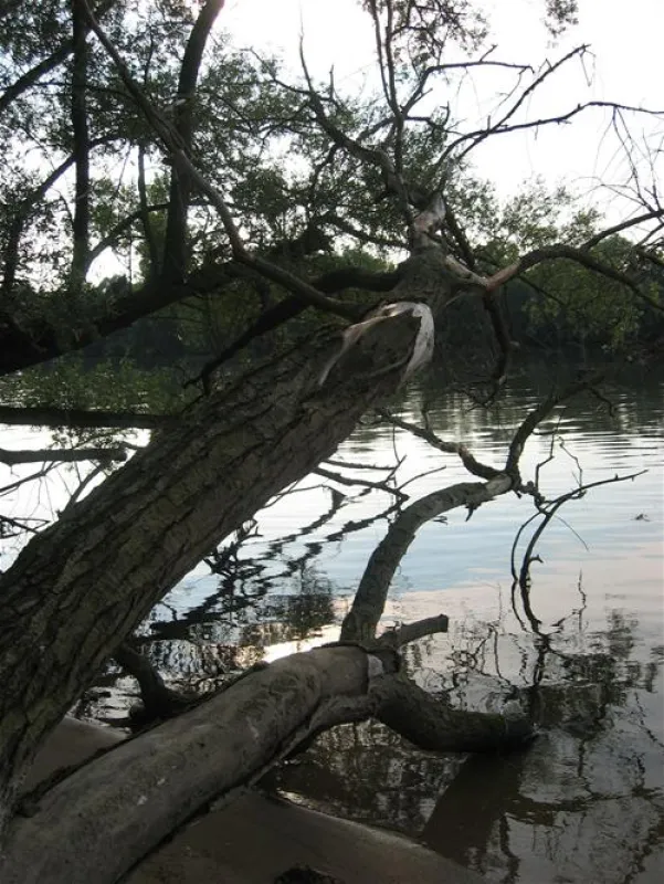Camping Chateau De Bouafles