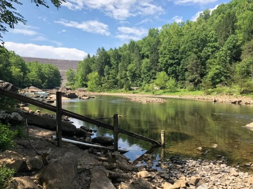 Gauley Tailwaters Campground