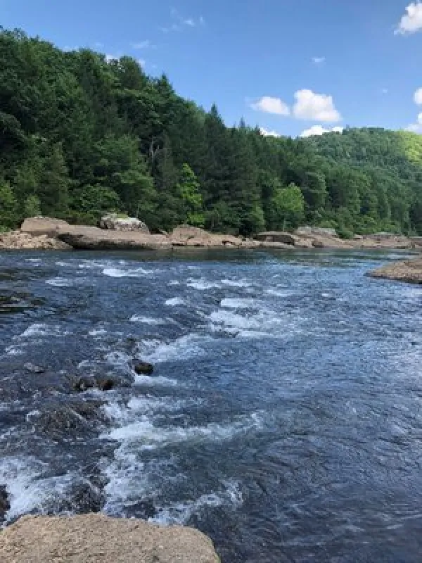 Gauley Tailwaters Campground