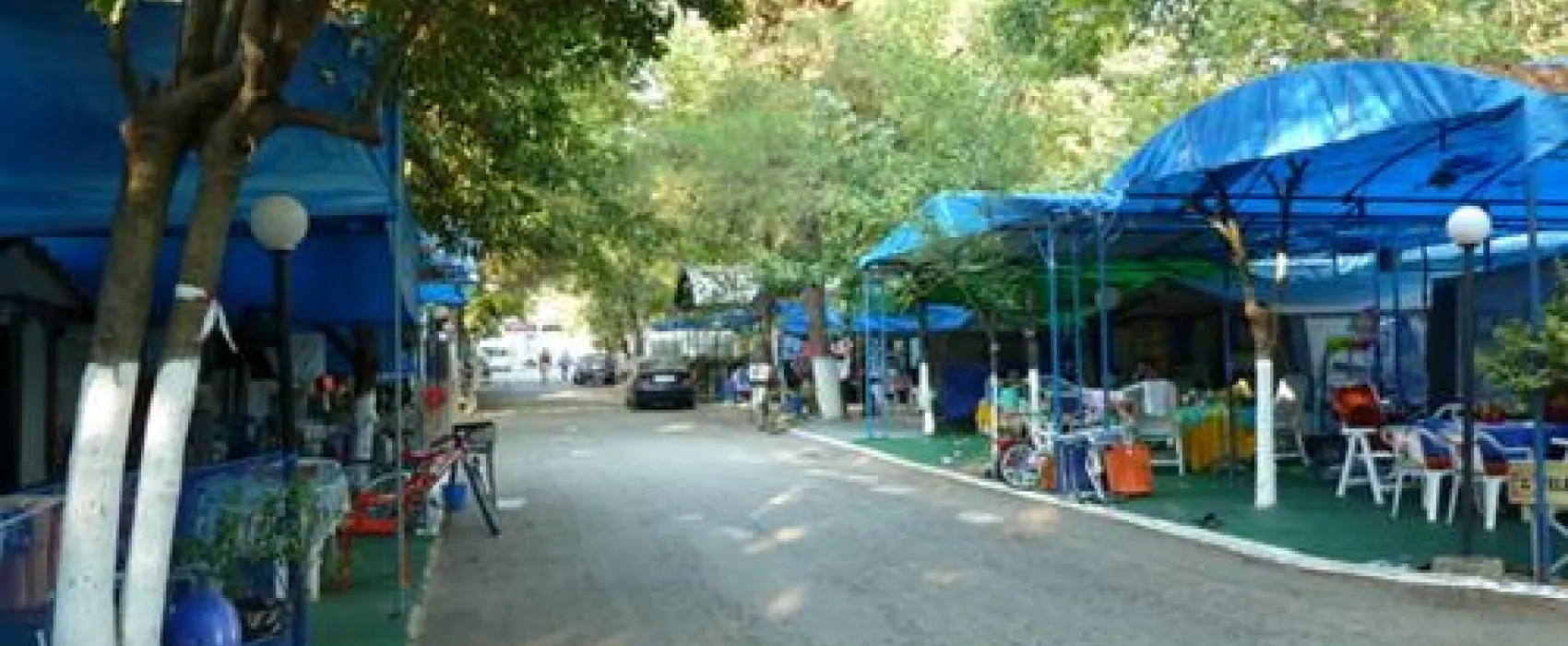 Campsite Poseidon Beach