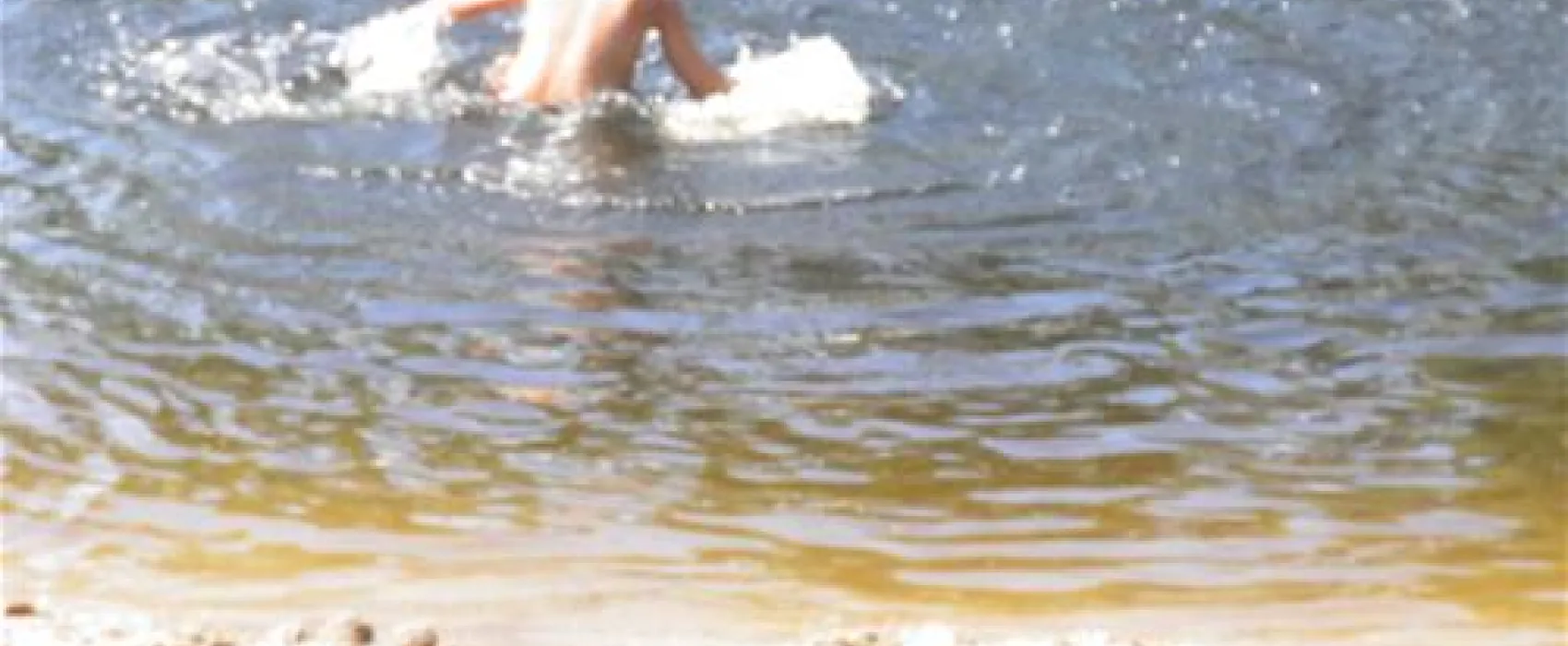 Camping & Ferienpark Falkensteinsee