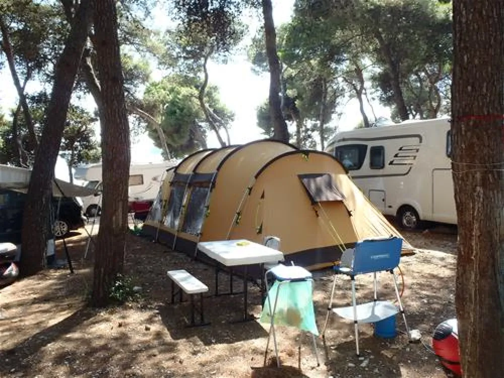 Camping Valdaliso