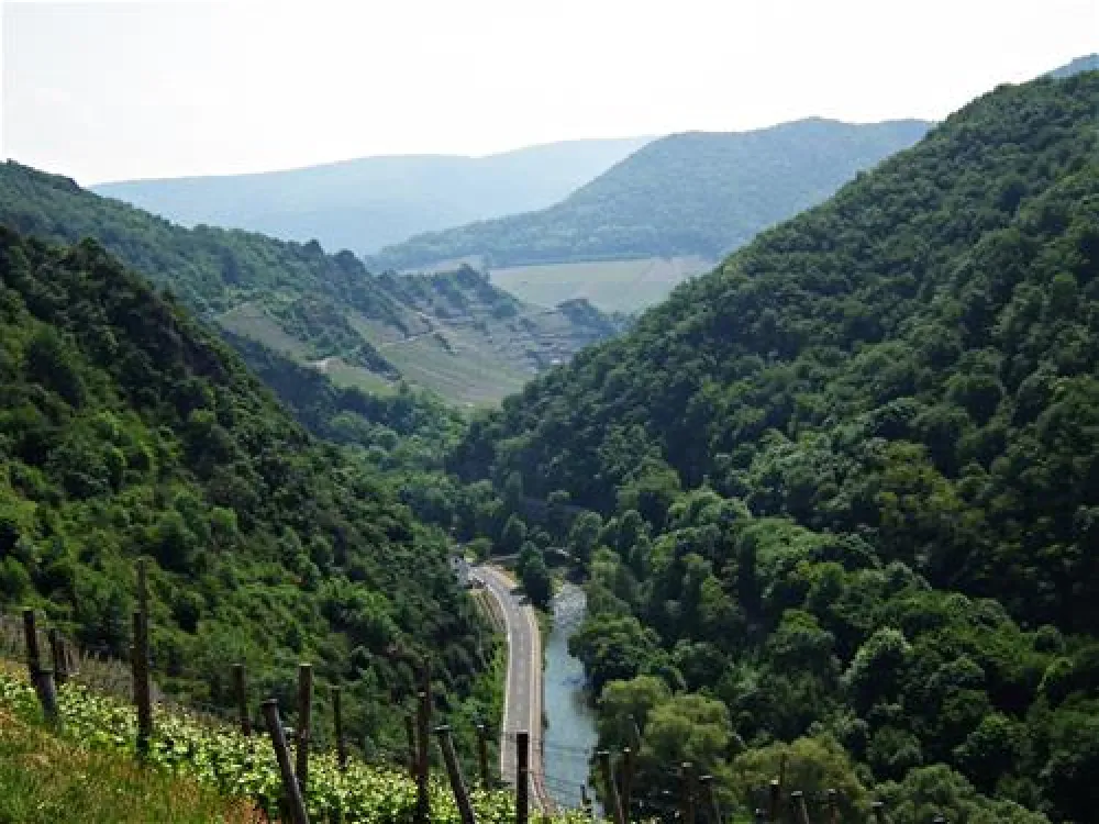 Camping Viktoria Station