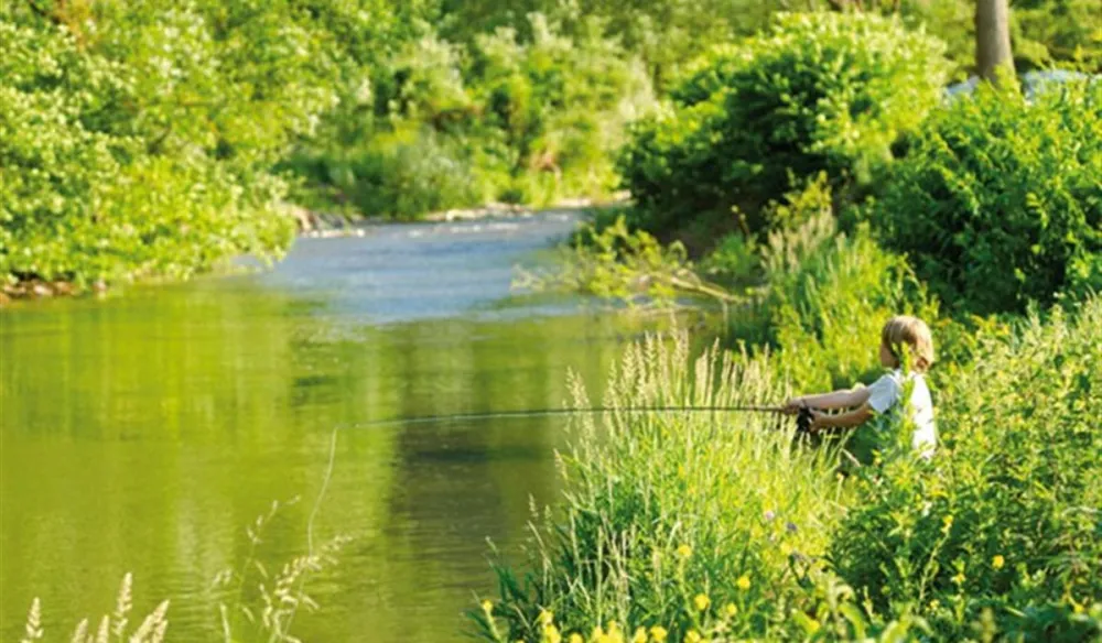 Camping Viktoria Station