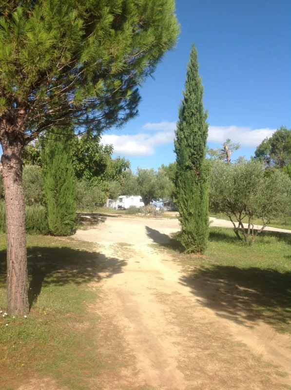 Camping les Vistes  