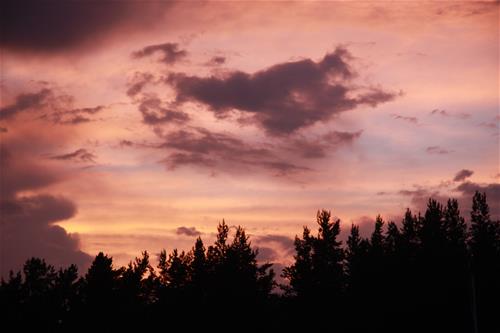 Camping Melnsils photo 5