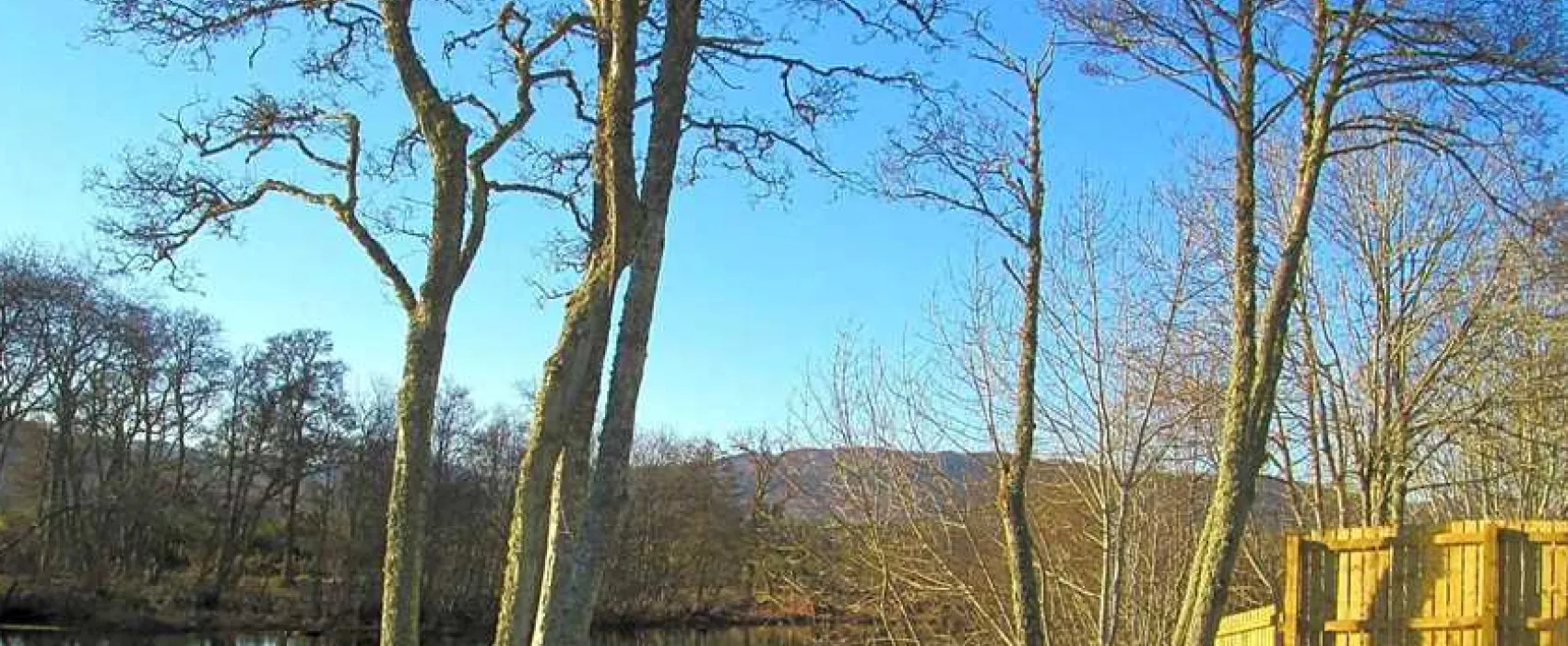 Riverside Chalet and Caravan Park